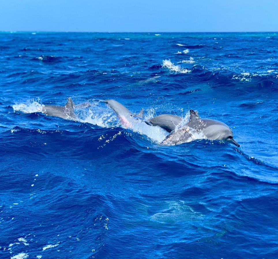 Molar Wave Himmafushi Exterior foto